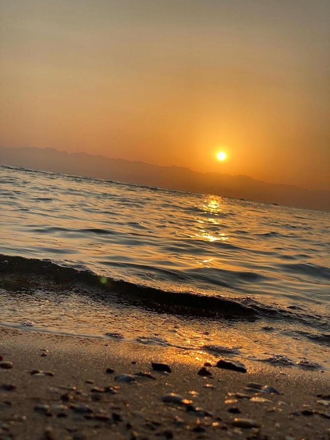 Nuweiba` Abdo Caribbean Camp酒店 外观 照片