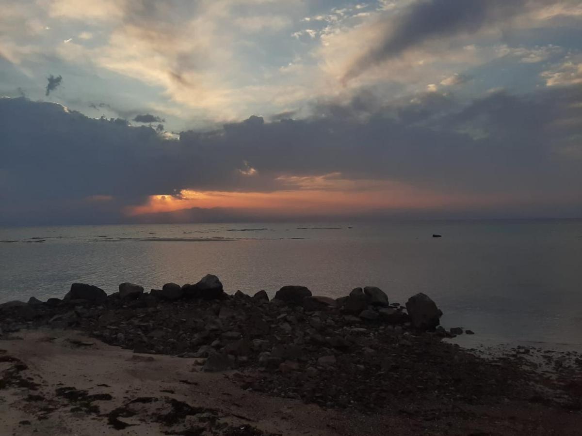 Nuweiba` Abdo Caribbean Camp酒店 外观 照片