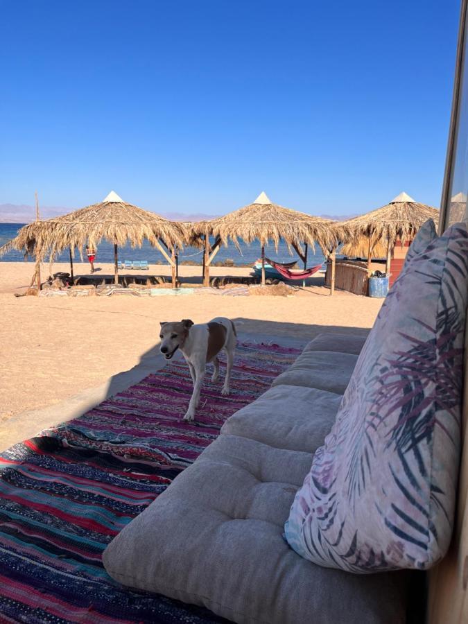 Nuweiba` Abdo Caribbean Camp酒店 外观 照片